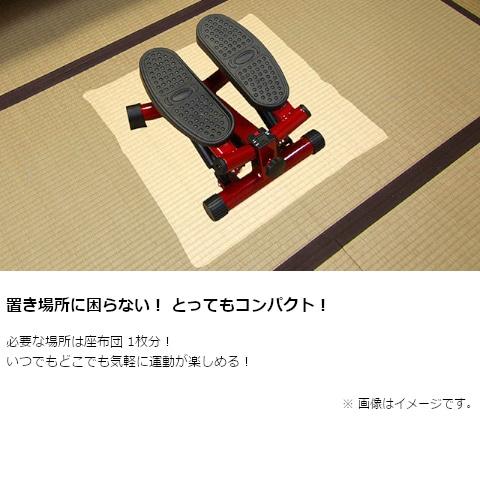 Shop Japan（ショップジャパン） 健康ステッパー（ナイスデイ）レッド NICE01KDの画像