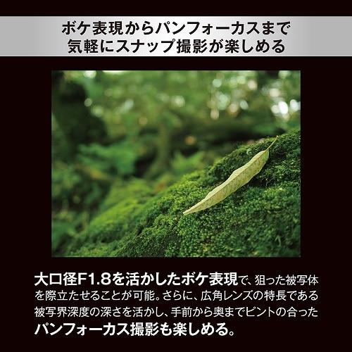 OM SYSTEM 交換用レンズ　マイクロフォーサーズ M.ZUIKO DIGITAL 17mm F1.8 II |  | 05