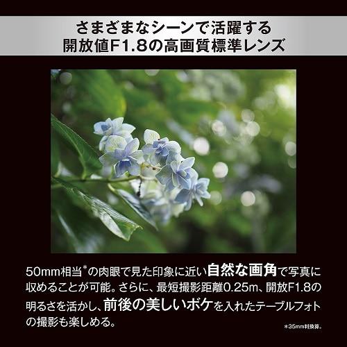 OM SYSTEM 交換用レンズ　マイクロフォーサーズ M.ZUIKO DIGITAL 25mm F1.8 II |  | 02