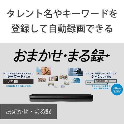 SONY（ソニー） HDD内蔵ブルーレイディスクレコーダ 2チューナー／2TB BDZ-ZW2800｜ksdenki｜05