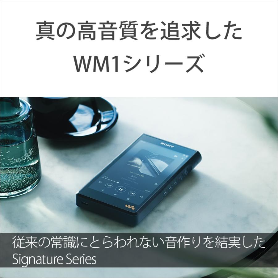 SONY（ソニー） ウォークマンWM1シリーズ[メモリータイプ] NW-WM1AM2_1