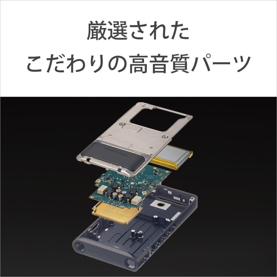 SONY（ソニー） ウォークマンWM1シリーズ[メモリータイプ] NW-WM1AM2_3
