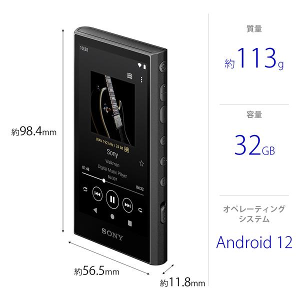 SONY（ソニー） ウォークマン A300シリーズ NW-A306 B