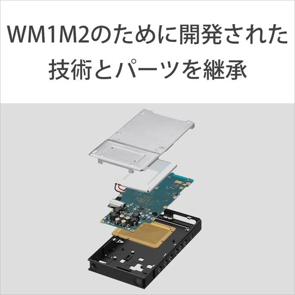 SONY（ソニー） ウォークマン ZXシリーズ NW-ZX707 C : ケーズデンキ