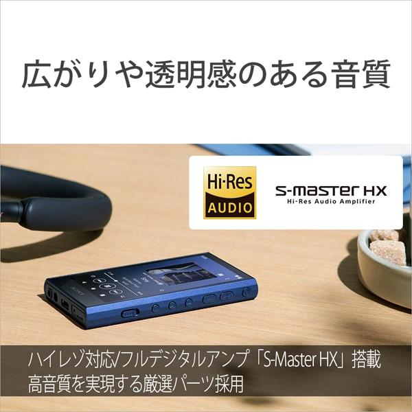 SONY（ソニー） ウォークマン A300シリーズ NW-A306 L : ケーズデンキ