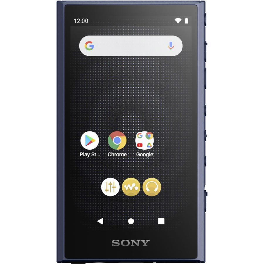 SONY（ソニー） ウォークマン A300シリーズ NW-A306 L : ケーズデンキ