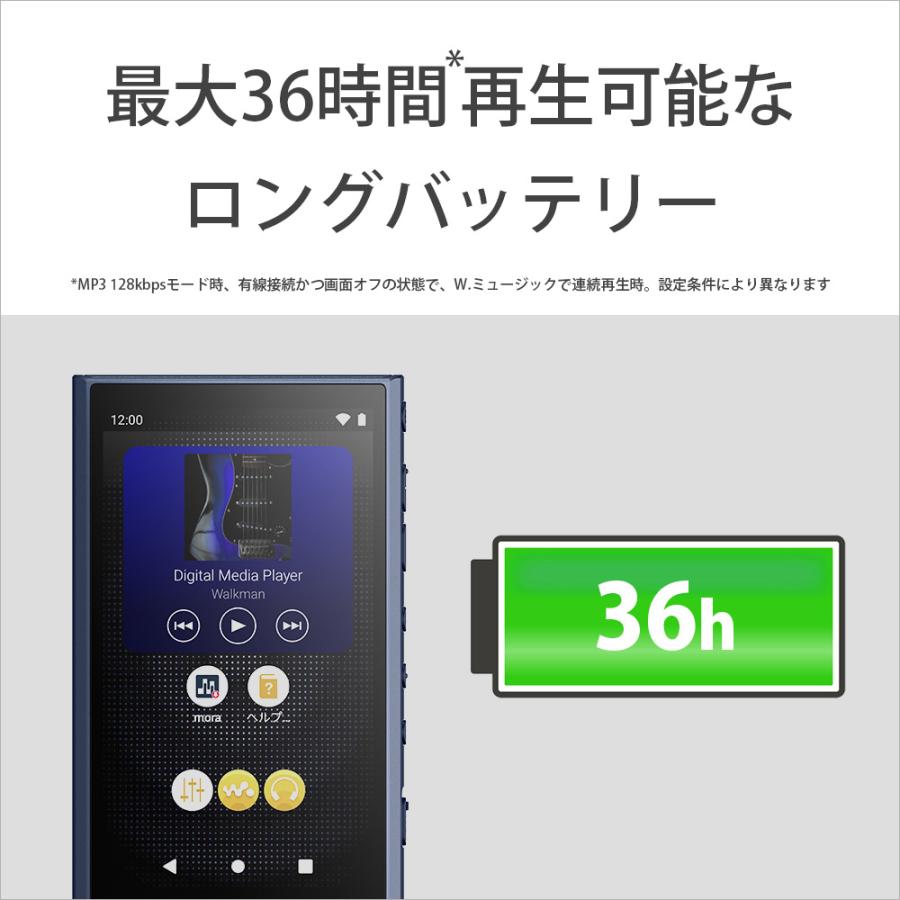 SONY（ソニー） ウォークマン A300シリーズ NW-A306 L : ケーズデンキ