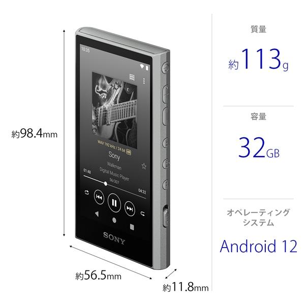 ウォークマン WALKMAN A300シリーズ グレー 32GB NW-A306 SONY NW-A306 (H) グレー ウォークマン A300シリーズ [ポータブル