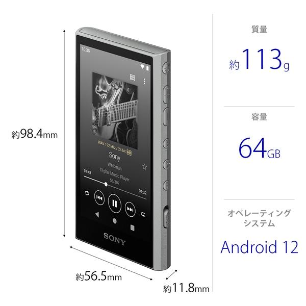 SONY（ソニー） ウォークマン A300シリーズ NW-A307 H : ケーズデンキ