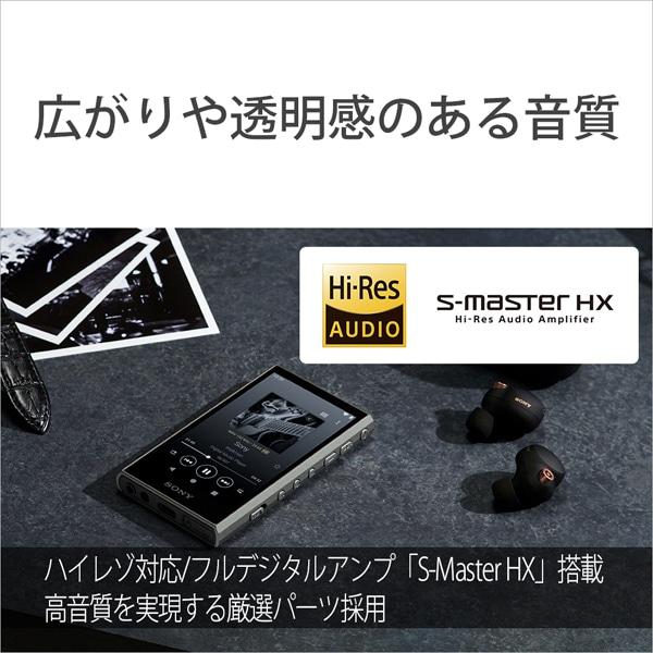 オーディオ機器 SONY（ソニー） ウォークマン A300シリーズ NW-A307 H : ケーズデンキ