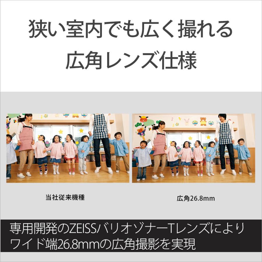 SONY（ソニー） ハンディカム　デジタル4Kビデオカメラレコーダー FDR-AX45A BCの画像