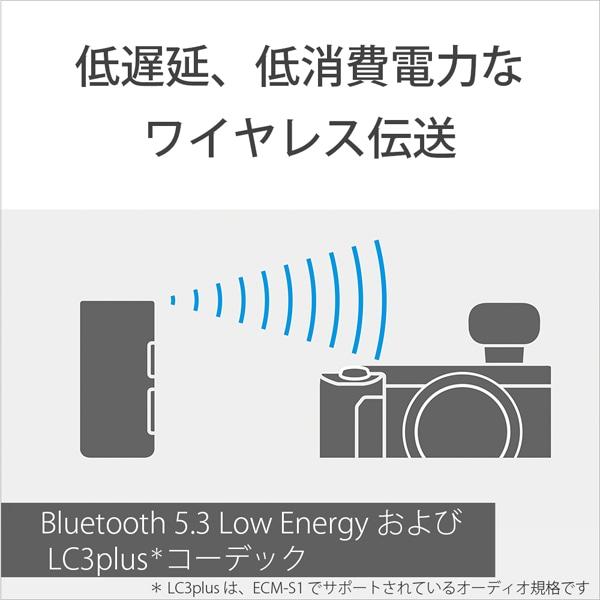 SONY（ソニー） ワイヤレスマイクロホン ECM-W3_2