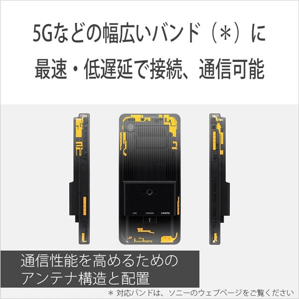 SONY（ソニー） ポータブルデータトランスミッター PDT-FP1