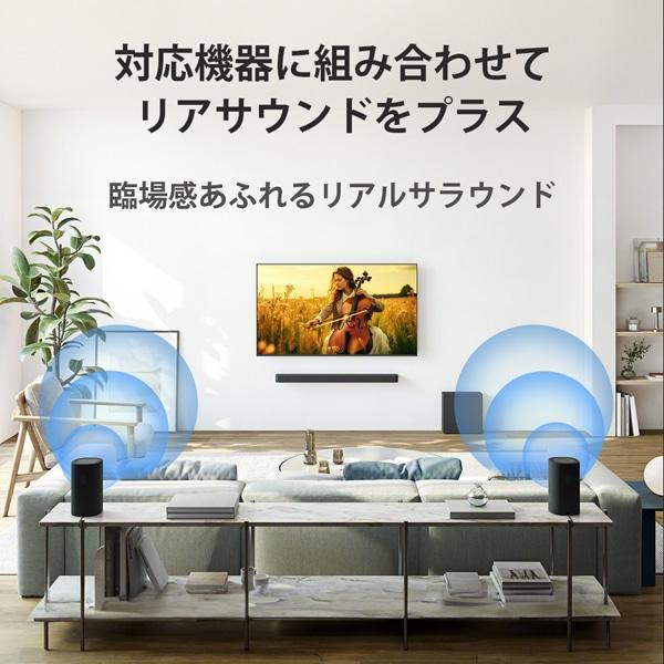 SONY（ソニー） リアスピーカー BRAVIA Theatre Rear 8 SA-RS8