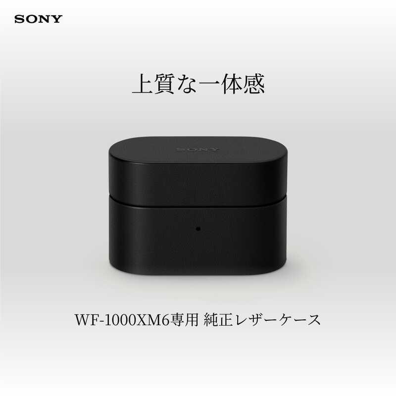 SONY（ソニー） WF-1000XM6専用ケースカバー HAC1000XM6CBC ブラック