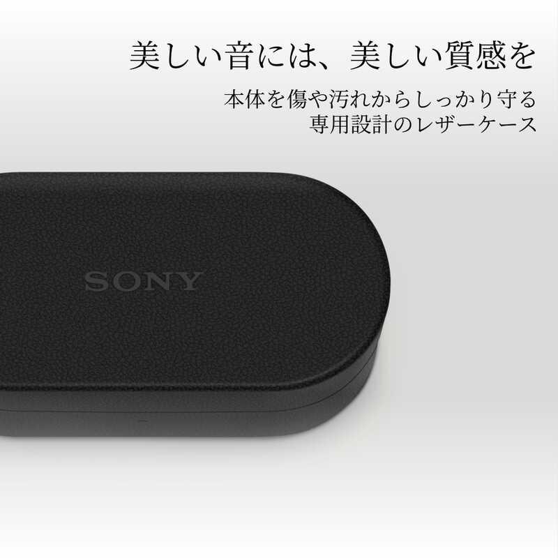 SONY（ソニー） WF-1000XM6専用ケースカバー HAC1000XM6CBC ブラック