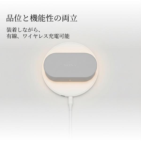 SONY（ソニー） WF-1000XM6専用ケースカバー HAC1000XM6CBC