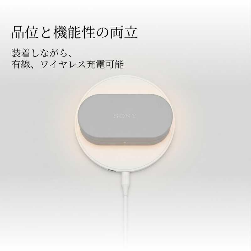 SONY（ソニー） WF-1000XM6専用ケースカバー HAC1000XM6CBC ブラック