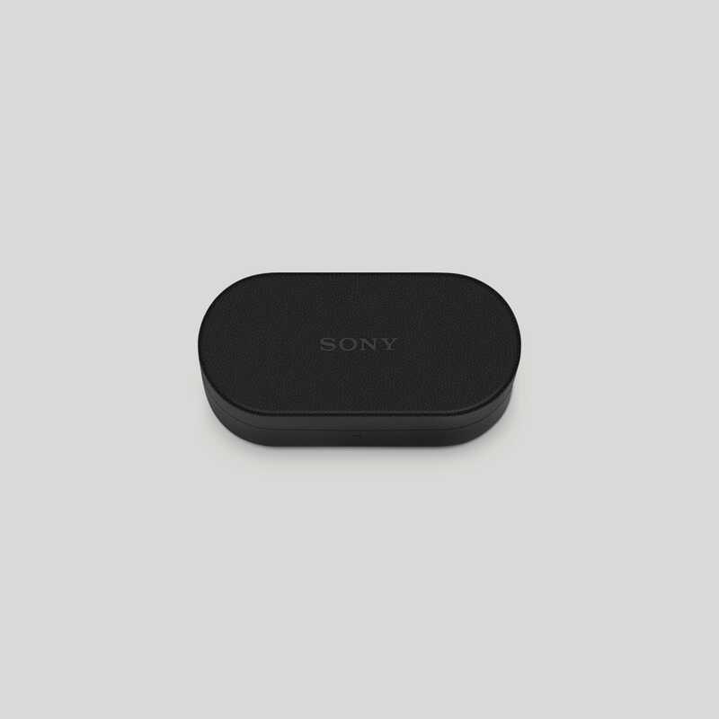 SONY（ソニー） WF-1000XM6専用ケースカバー HAC1000XM6CBC ブラック