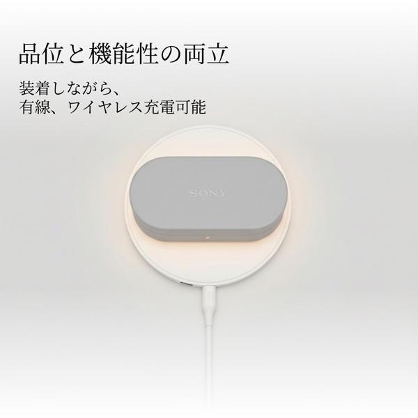 SONY（ソニー） WF-1000XM6専用ケースカバー HAC1000XM6CHC