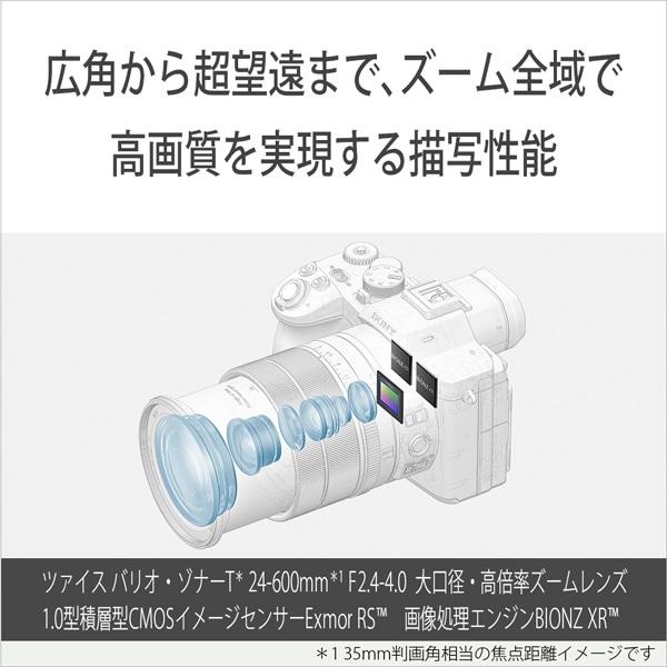 SONY（ソニー） コンパクトデジタルカメラ Cyber-shot RX10V DSC