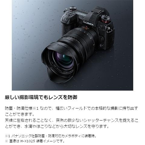 Panasonic（パナソニック） 交換用レンズ マイクロフォーサーズ H
