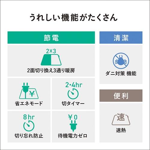 Panasonic（パナソニック） 電気カーペットセット 2畳相当 DC-2NKC1-C