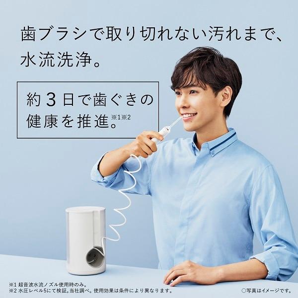 Panasonic（パナソニック） （5年間無料保証） ジェットウォッシャー