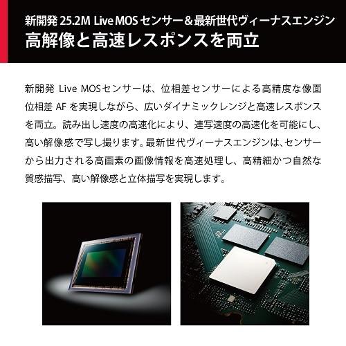 Panasonic（パナソニック） ミラーレス一眼カメラ LUMIX G9 Pro II DC-G9M2の画像