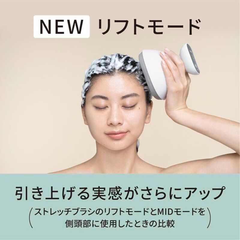 Panasonic（パナソニック） EH-HE0J-S 頭皮エステ スパイラル