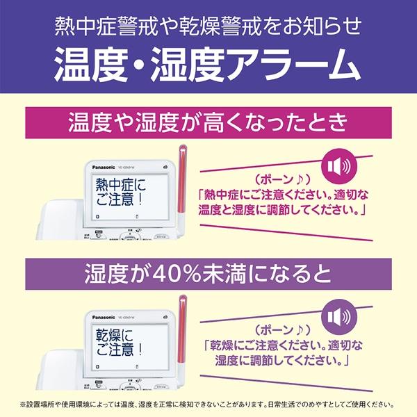 Panasonic（パナソニック） コードレス電話機（子機2台付き） VE