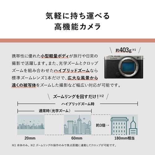 Panasonic（パナソニック） フルサイズミラーレス一眼カメラ/ 広角ズームレンズキット LUMIX（ルミックス） S9 DC-S9N-Kの画像
