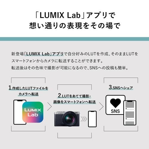 Panasonic（パナソニック） フルサイズミラーレス一眼カメラ/ 広角ズームレンズキット LUMIX（ルミックス） S9 DC-S9N-Sの画像