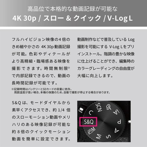 Panasonic（パナソニック） ミラーレス一眼カメラ LUMIX G99II ボディ