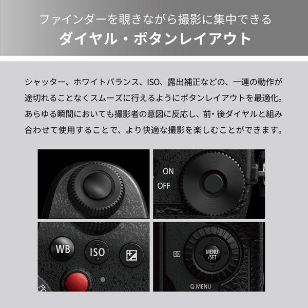 Panasonic（パナソニック） ミラーレス一眼カメラ LUMIX G99II ボディ