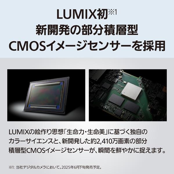 Panasonic（パナソニック） ミラーレス一眼カメラ LUMIX DC-S1M2 標準ズームレンズキット DC-S1M2Mの画像