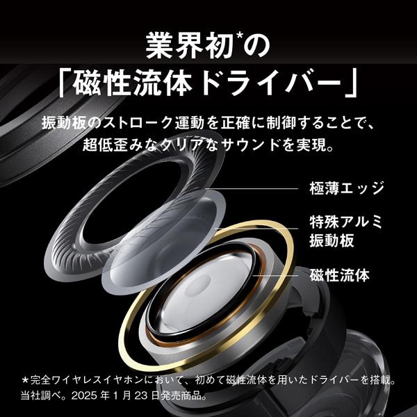 Technics（テクニクス） 完全ワイヤレスイヤホン EAH-AZ100-N