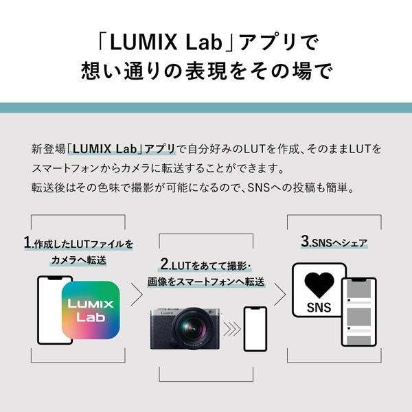 Panasonic（パナソニック） フルサイズミラーレス一眼カメラ 広角ズームレンズキット LUMIX（ルミックス） S9 DC-S9N-Nの画像