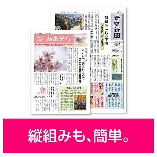 ソースネクスト DTP（簡易出版）ソフト パーソナル編集長 Ver.16