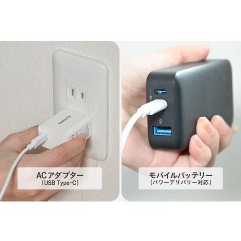 山善 DCモーター扇風機 RLX-SAP030 モバイルバッテリー対応 山善 RLX-SAP030(W) DCモーターリビング扇風機 ホワイト