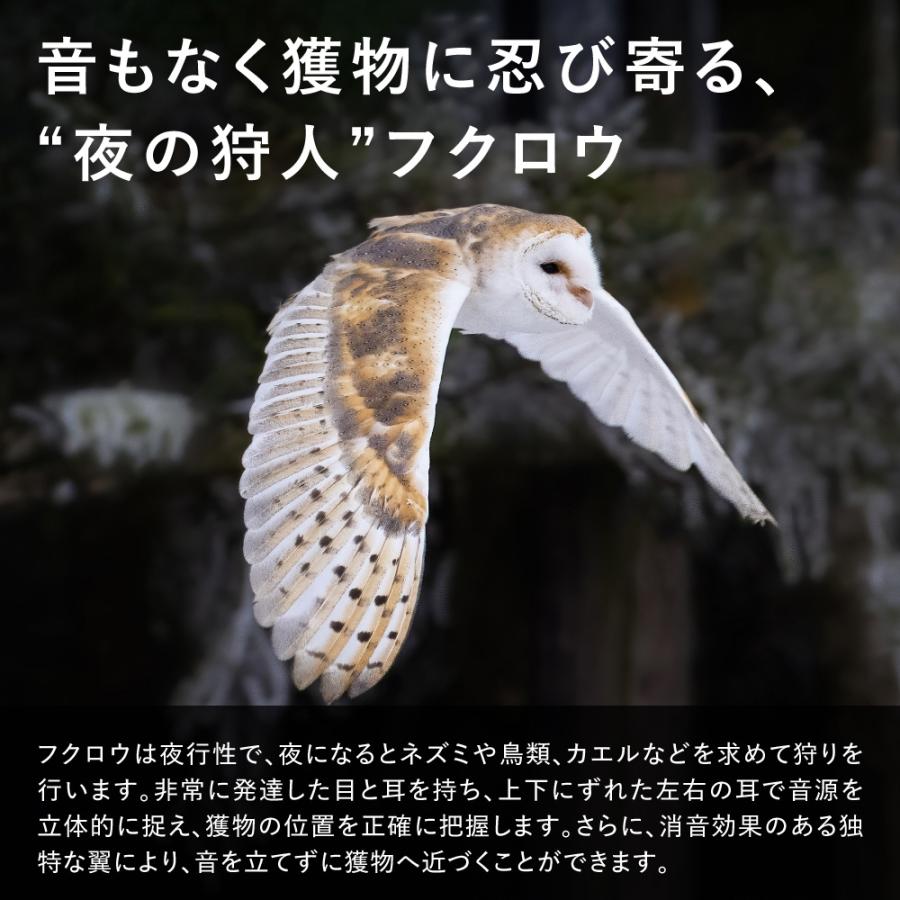 SHARP（シャープ） プラズマクラスターオウルフローハンディファン PJ