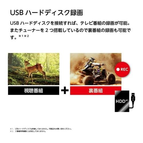 ORION（オリオン） 32V型 ハイビジョン スマートテレビ（Google TV