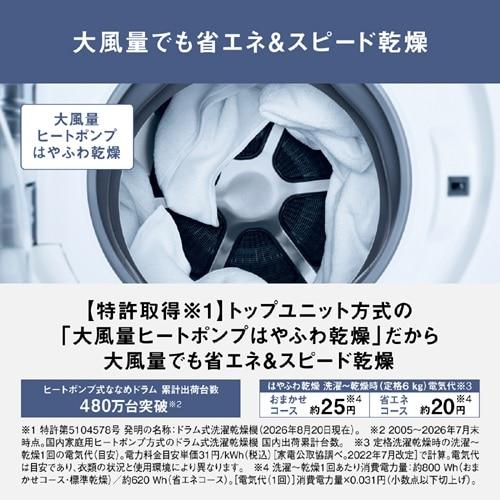 Panasonic（パナソニック） ななめドラム洗濯乾燥機 LXシリーズ NA