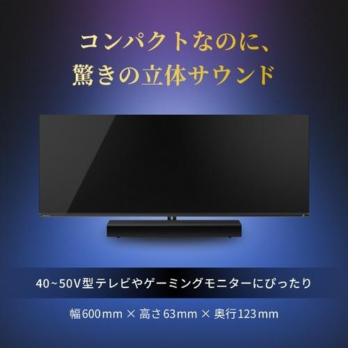 REGZA（レグザ） 2.0ch レグザサウンドシステム RA-B100
