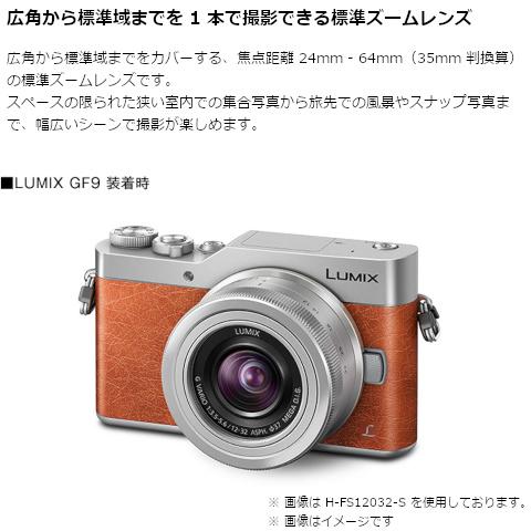 Panasonic（パナソニック） 交換用レンズ マイクロフォーサーズ H