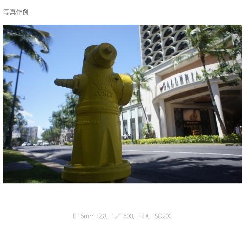 SONY E 18-135mm F3.5-5.6 OSS Eマウント SONY SONY（ソニー） 交換用レンズ ソニーEマウント SEL16F28