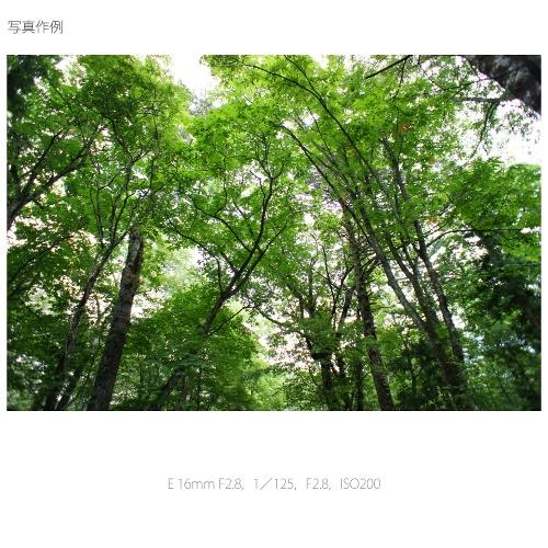 SONY E 18-135mm F3.5-5.6 OSS Eマウント SONY SONY（ソニー） 交換用レンズ ソニーEマウント SEL16F28