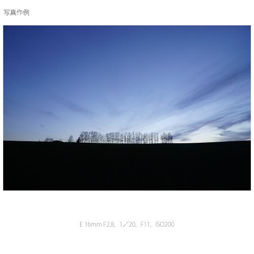 SONY SONY（ソニー） 交換用レンズ ソニーEマウント SEL16F28