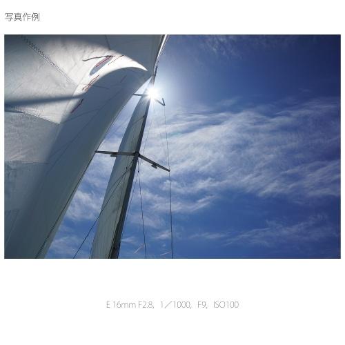 SONY SONY（ソニー） 交換用レンズ ソニーEマウント SEL16F28