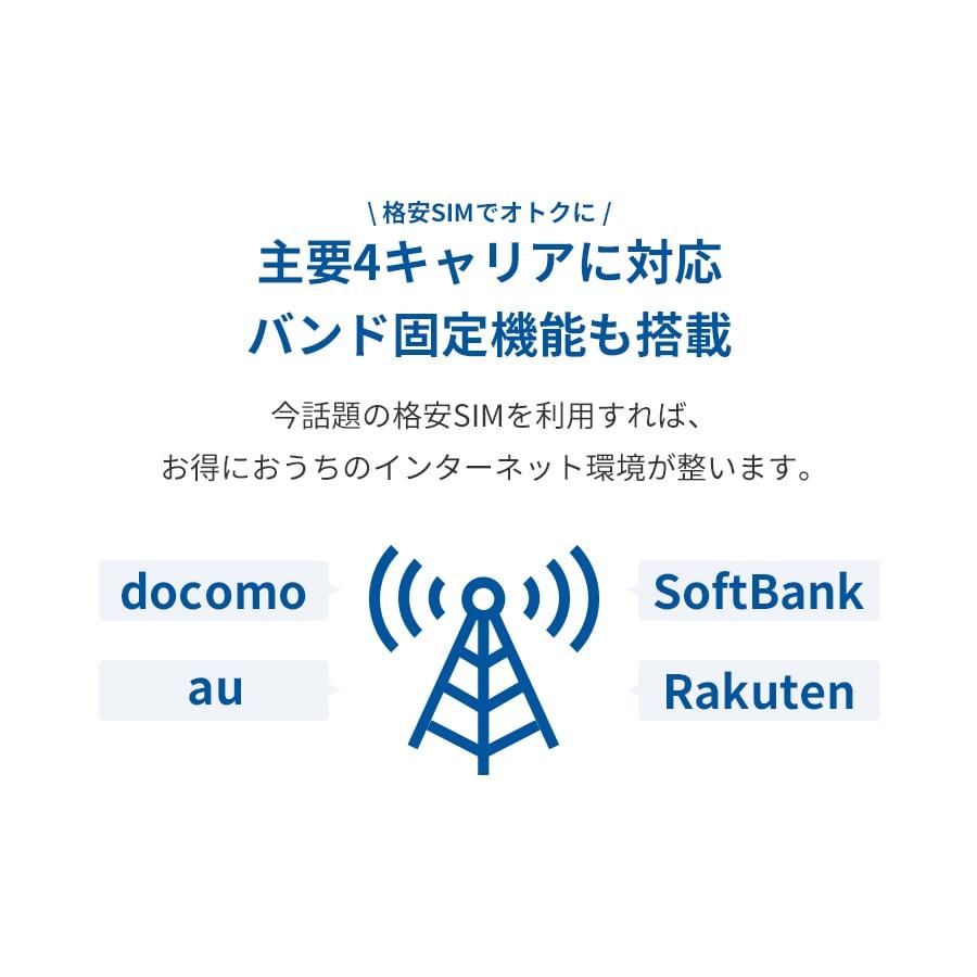 PIXELA（ピクセラ） LTE対応 SIMフリーホームルーター PIX-RT100
